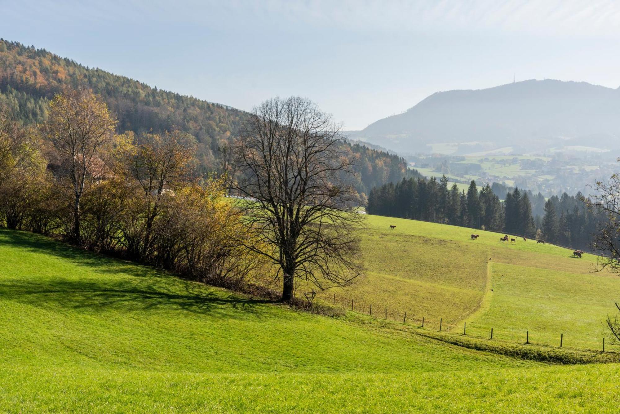 Ferienwohnung Am Labyrinth Semriach Buitenkant foto