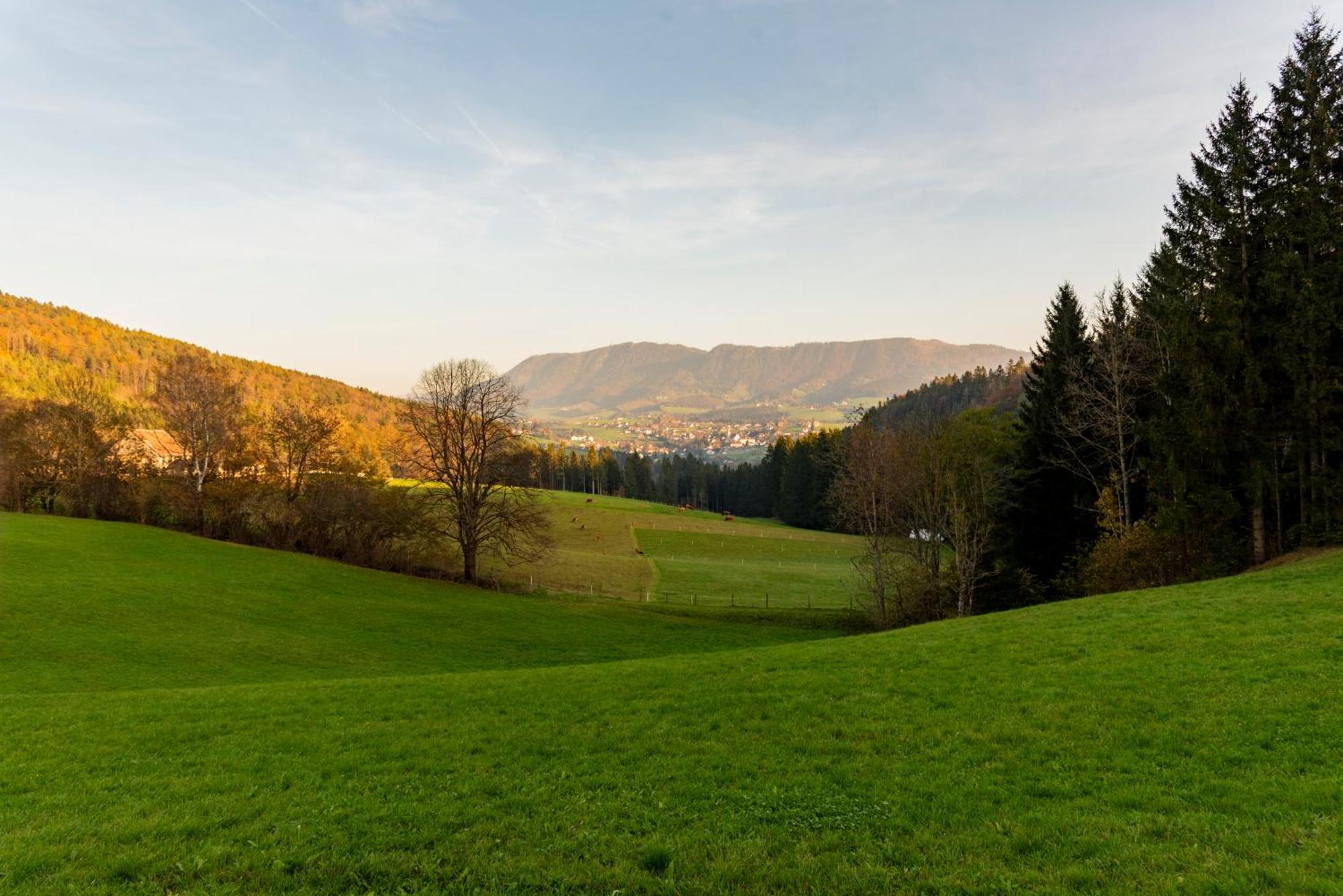 Ferienwohnung Am Labyrinth Semriach Buitenkant foto